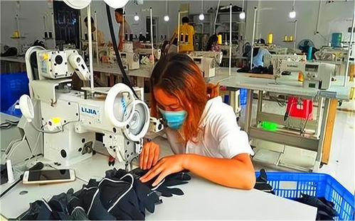 鄉(xiāng)村創(chuàng)業(yè)新機(jī)遇 代加工廠項(xiàng)目選擇與投資策略全解析